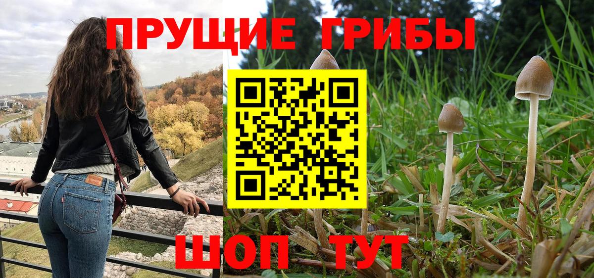 Псилоцибиновые грибы ЛСД Сунжа
