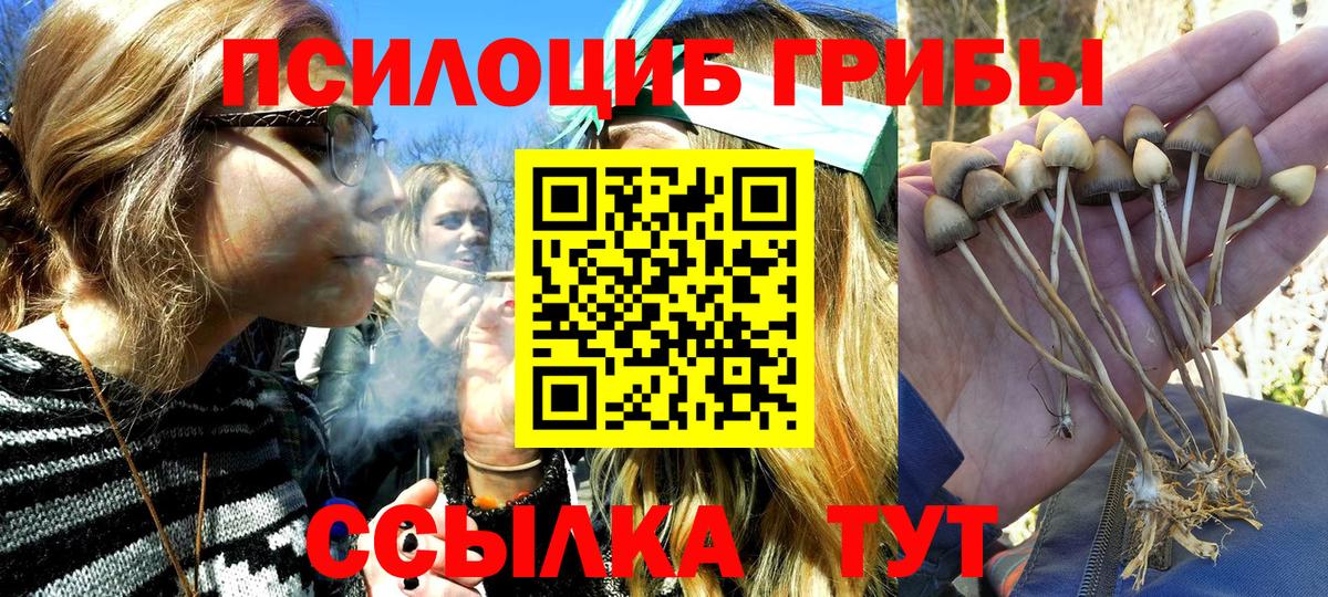 Сунжа  Псилоцибиновые грибы Magic Shrooms  Вход с VPN 
